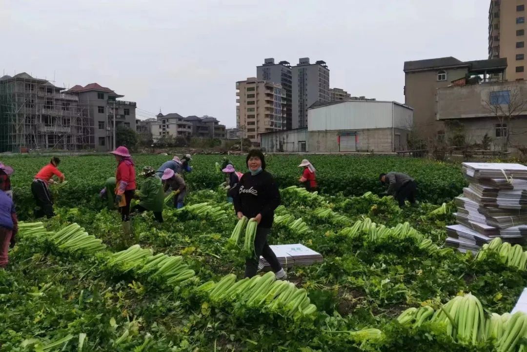 不一般！长乐这个家庭农场成为“省级示范”